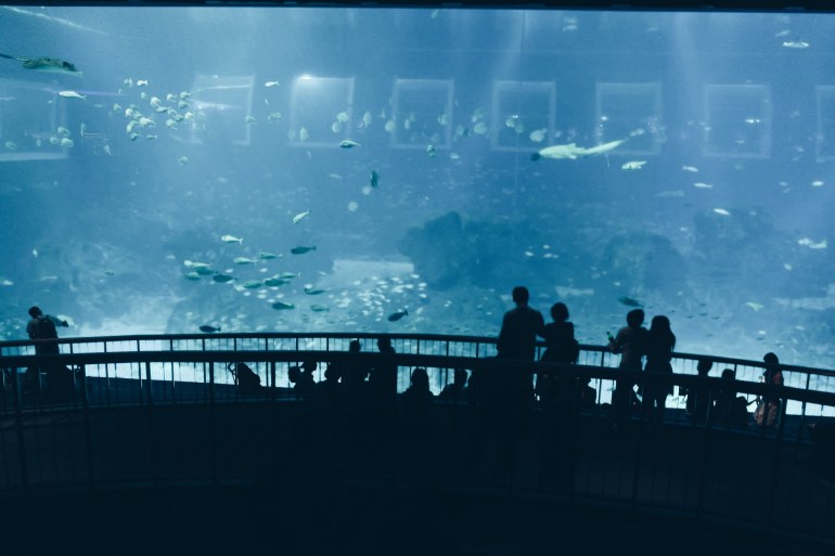 Processed with VSCO with hb1 preset