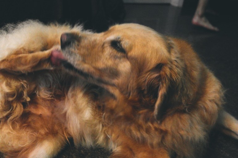 Processed with VSCO with e5 preset