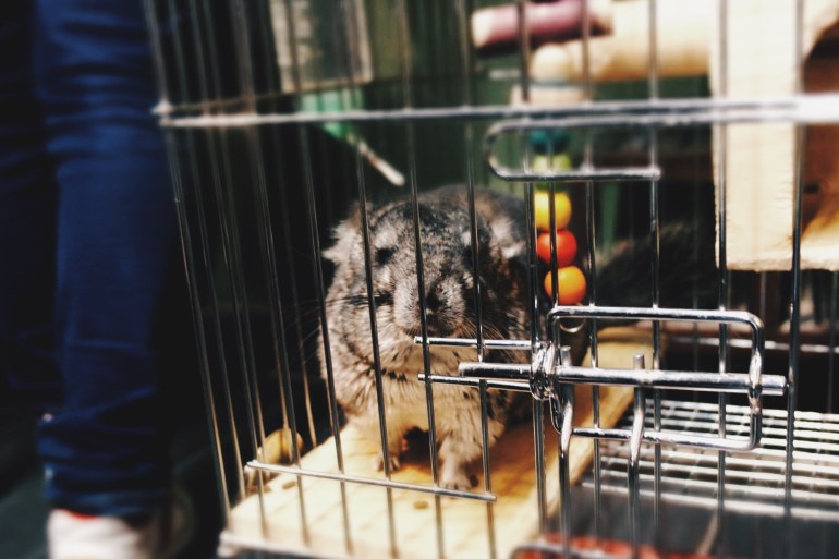 Processed with VSCO with hb2 preset