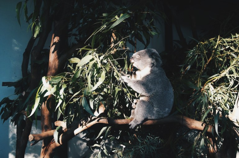 Processed with VSCO with hb2 preset