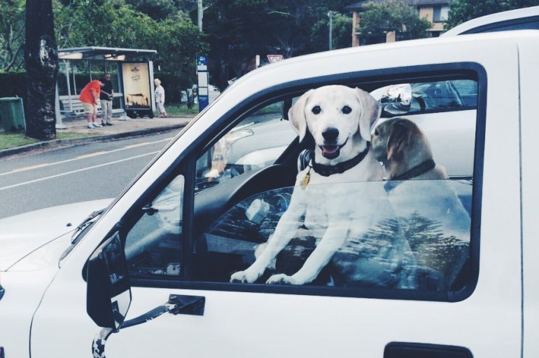 Processed with VSCO with f2 preset