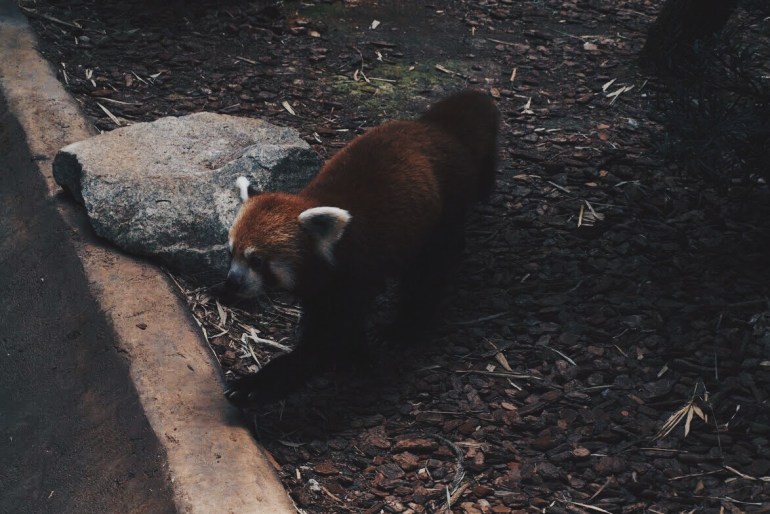 Processed with VSCO with hb2 preset