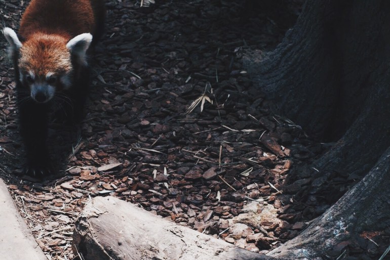 Processed with VSCO with hb2 preset