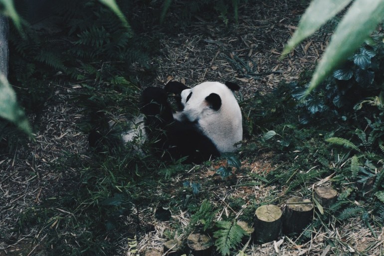 Processed with VSCO with hb2 preset