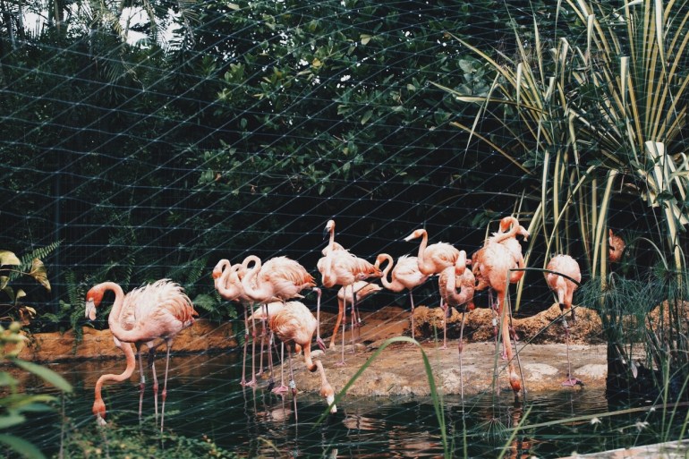 Processed with VSCO with hb2 preset