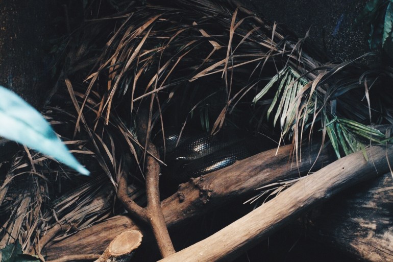 Processed with VSCO with hb2 preset