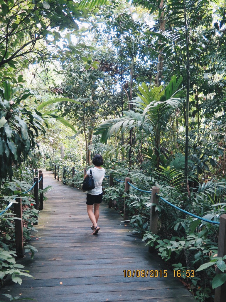 Processed with VSCO with hb2 preset