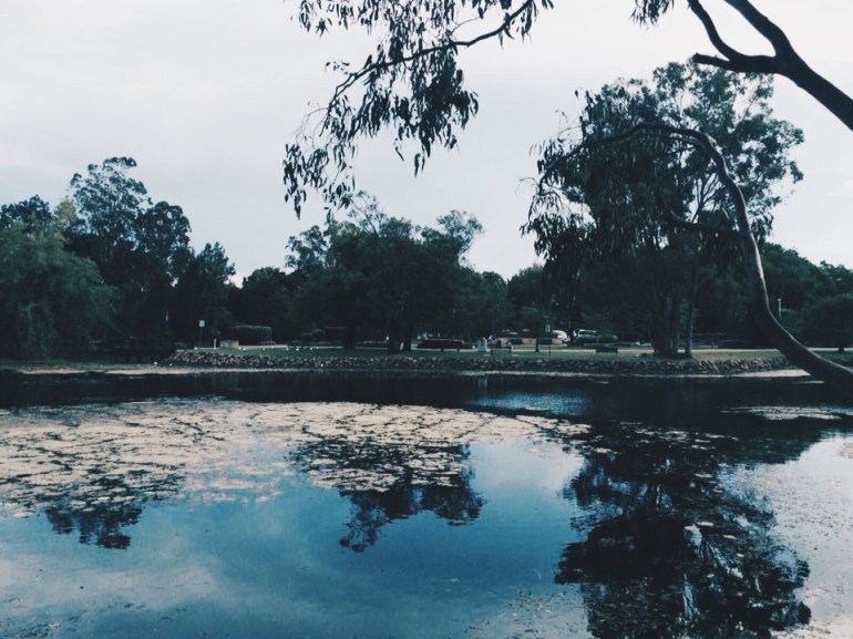 Processed with VSCO with hb2 preset