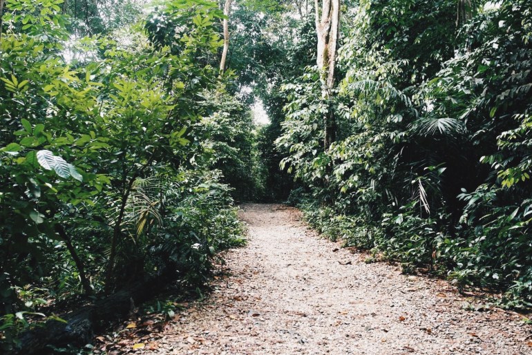 Processed with VSCO with hb2 preset