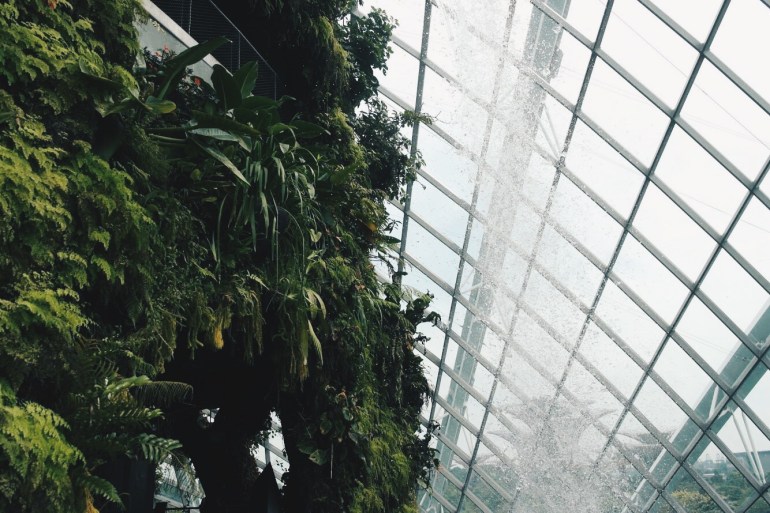 Processed with VSCO with hb2 preset