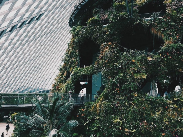Processed with VSCO with hb2 preset