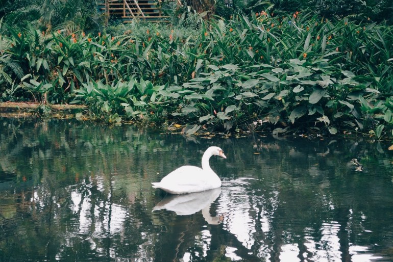 Processed with VSCO with e3 preset