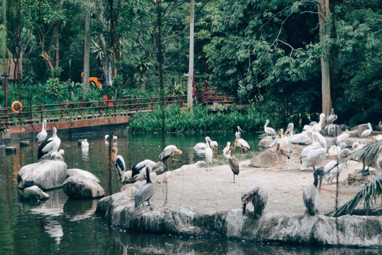 Processed with VSCO with e3 preset