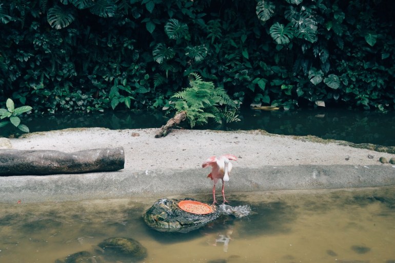 Processed with VSCO with e3 preset