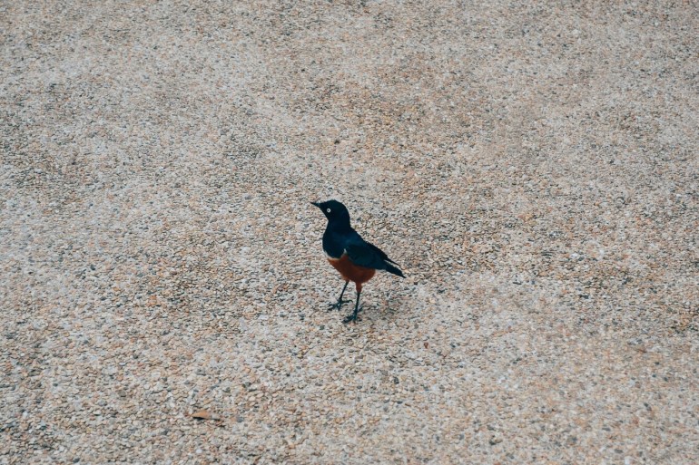 Processed with VSCO with e3 preset