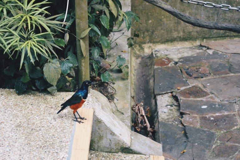 Processed with VSCO with hb2 preset