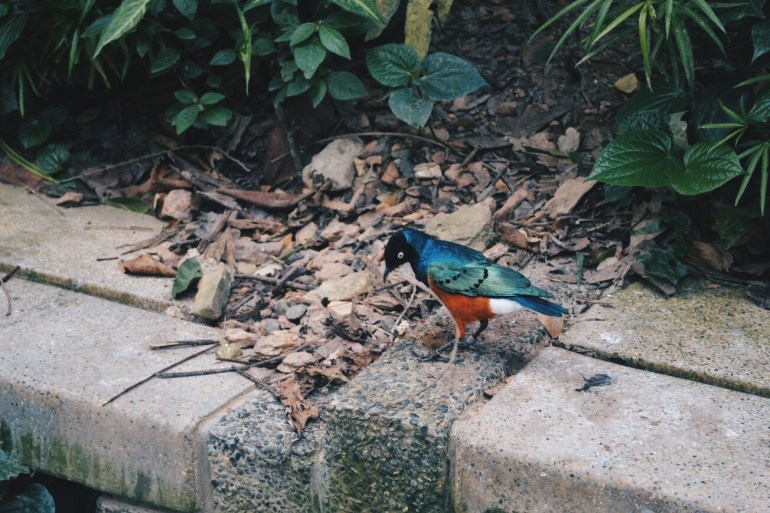 Processed with VSCO with hb2 preset