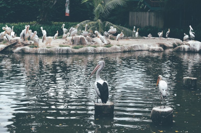 Processed with VSCO with e8 preset