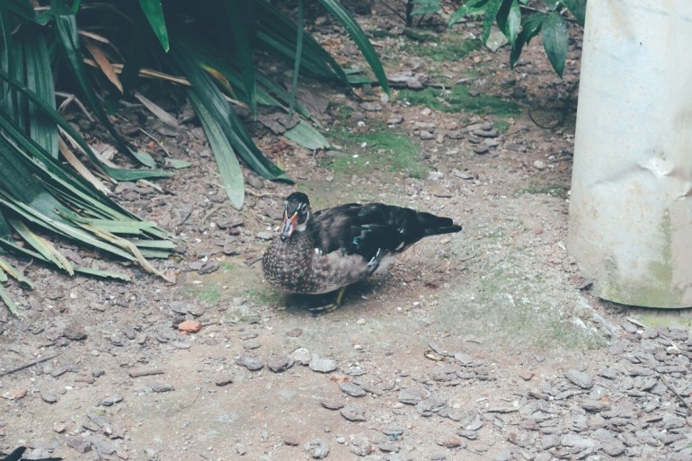 Processed with VSCO with e8 preset