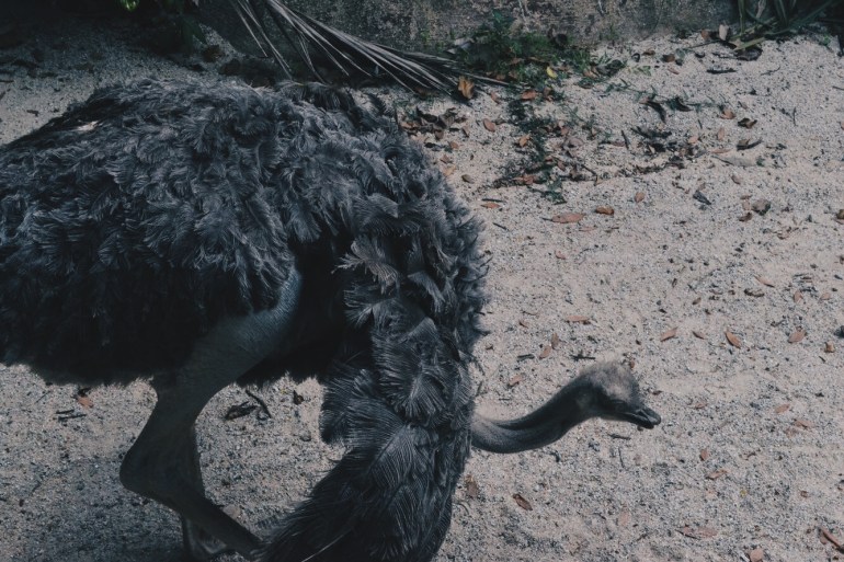 Processed with VSCO with hb2 preset