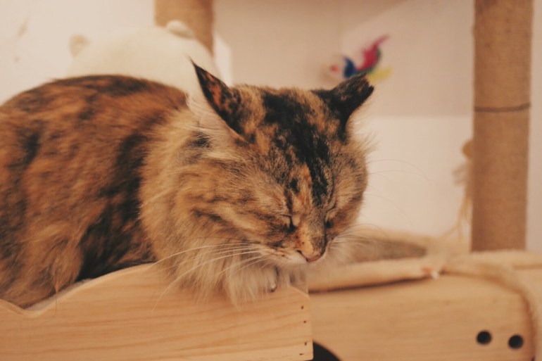 Processed with VSCO with hb2 preset