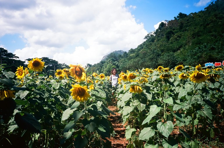 0016_16A000012360016