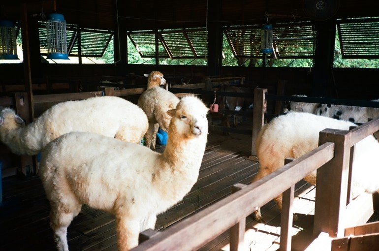 0018_18A000012360018