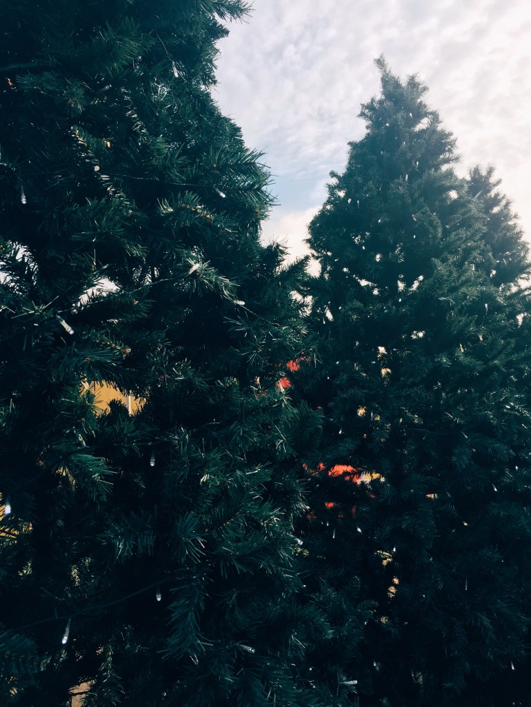 Processed with VSCO with e3 preset