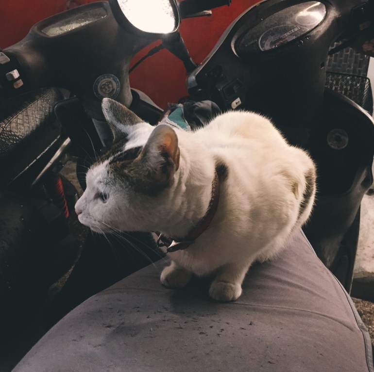 Processed with VSCO with e5 preset